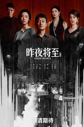 国产剧昨夜将至海报